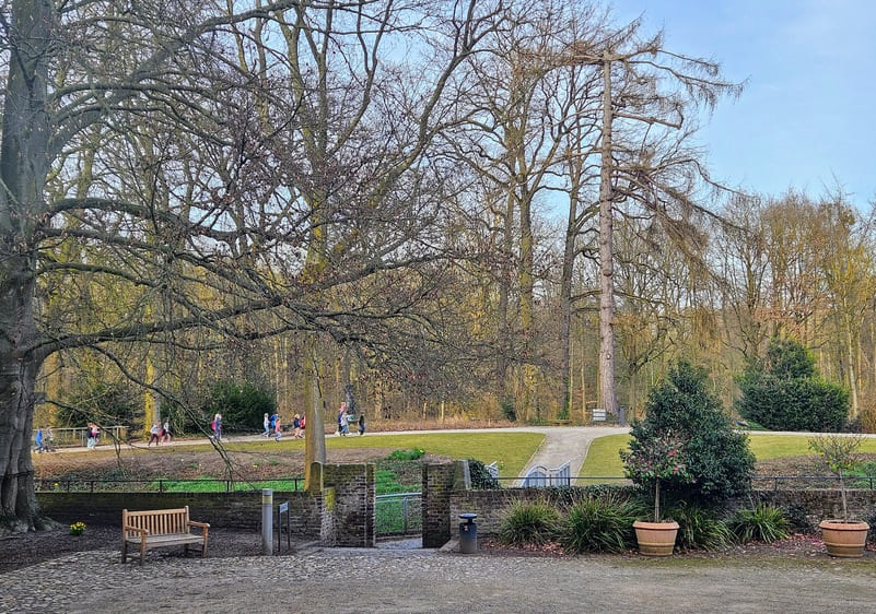 algenspaghetti nachteulen im anflug schloss rheydt